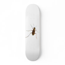 Cicindela beetle custom skate board