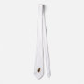 Cicindela beetle tie
