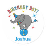 Cicus Elephant 1st Birthday