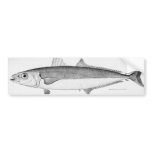 Cigar Fish bumper stickers