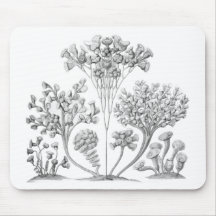 Ciliata Mouse Pads