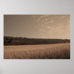 Cinematic Landscape of Wheat Fields posters