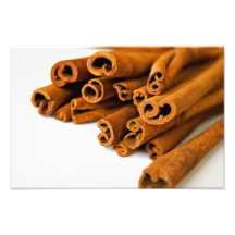 Cinnamon sticks photo art