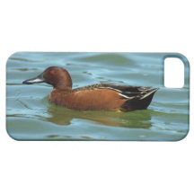 Cinnamon Teal iPhone 5 Cover