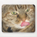 Cinnamon the Cat Mousepad