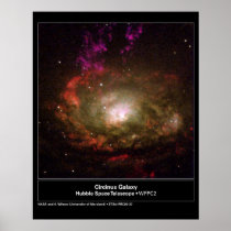 Circinus Galaxy Hubble Telescope