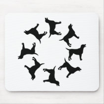 Circle of Black Labs