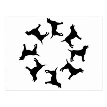 Circle of Black Labs Postcards