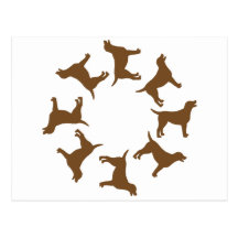 Circle of Chocolate Labs Post Card