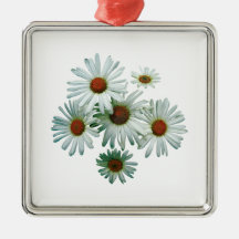 Circle of Daisies Ornaments