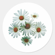 Circle of Daisies Sticker