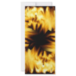 Circle of fire rack cards