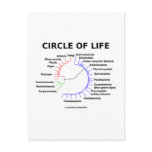Circle Of Life (Circular Phylogenetic Tree) postcards
