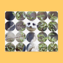 Circle Photo Postcard postcards