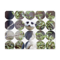 Circle Photo Postcard