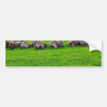 Circles At Carrowmore Bumper Stickers