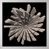 CIRCULAR ANOMALY