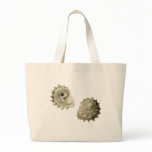 Circular Saw Shell bags