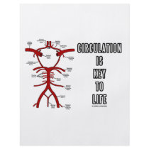 Circulation Is Key To Life (Circle Of Willis)