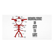 Circulation Is Key To Life (Circle Of Willis)