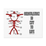 Circulation Is Key To Life (Circle Of Willis) postcards