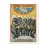 Circus Elephants Brass Band postcards