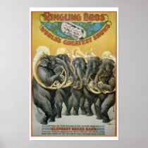 Circus Elephants Brass Band