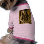 circus guy pet clothing pet clothing