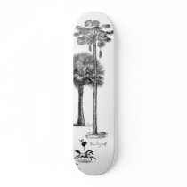 Circus Oasis Skate Boards