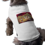 Circus poster showing acrobat performing on horse pet clothing