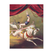 Circus poster showing acrobat performing on horse