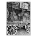 Circus Wagon cards
