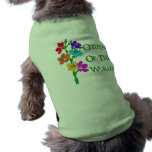 Citizen of the World pet clothing
