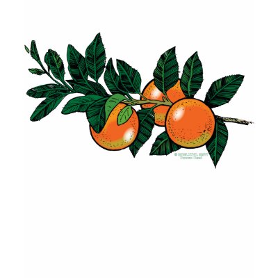 citrus branch shirt F/B by Duncan_Reed