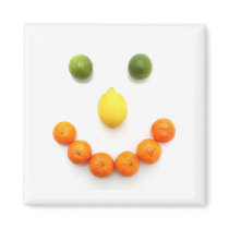 Citrus Fruit Smiley Smile Magnets