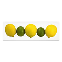 Citrus Row Photo