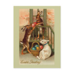 City Easter Bunnies With Lamb Postcard