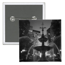 City Hall Fountain Pins