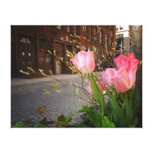 City Tulips Stretched Canvas Prints