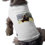 Civil War Reenactment Pet T-shirt