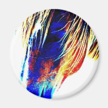 ck-art7201042 magnet
