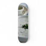 Clam Chowder With Beer And Sour Dough Bread skateboards