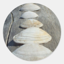 Clam Shells Stickers