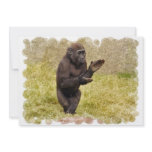 Clapping Chimp Invitation