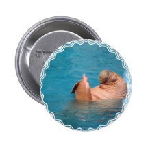Clapping Walrus Button