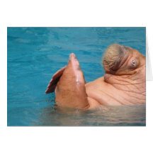Clapping Walrus Greeting Card