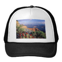 Claret Cup Cactus, Arizona Mesh Hat