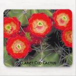 Claret Cup Cactus Blossoms Mousepad