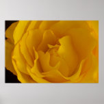 Clarity Peace and Serenity Poster posters