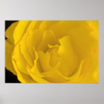 Clarity Peace Serenity Watercolor Poster posters